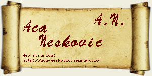 Aca Nešković vizit kartica